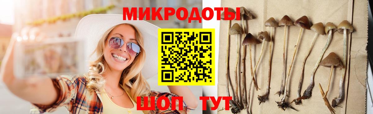 Галлюциногенные грибы мухоморы  купить наркотик  Жигулёвск  Вход с VPN 